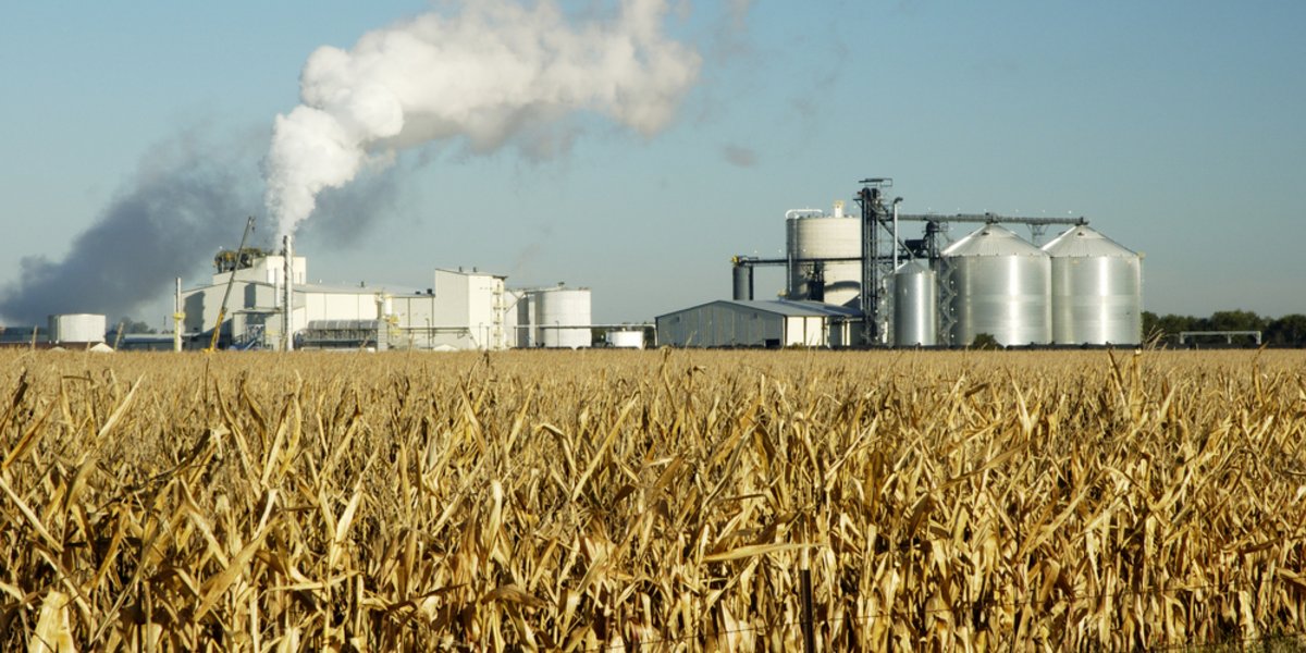 In grossen Anlagen werden bereits heute beachtliche Mengen Biosprit produziert und auf den Markt gebracht