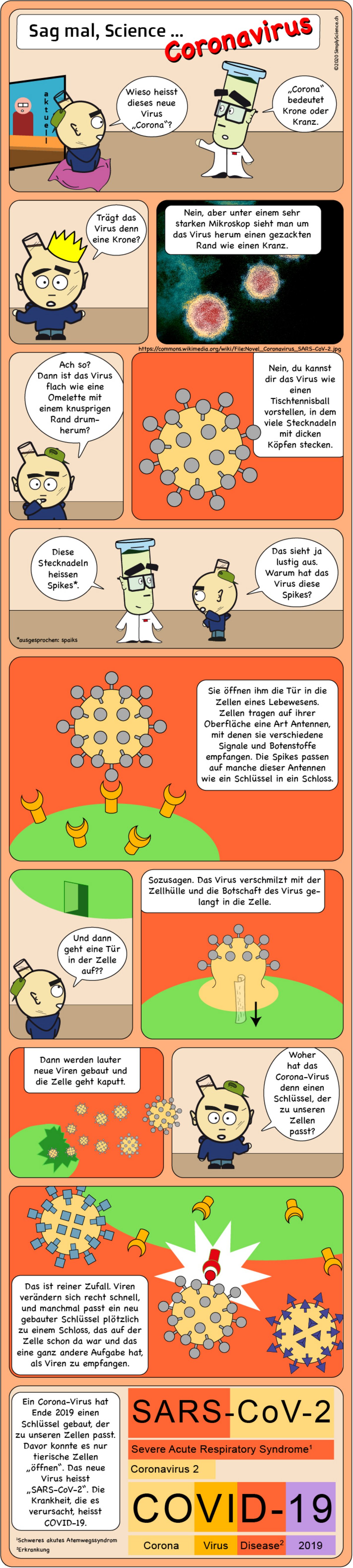 Comic: Was sind Viren? – Coronavirus