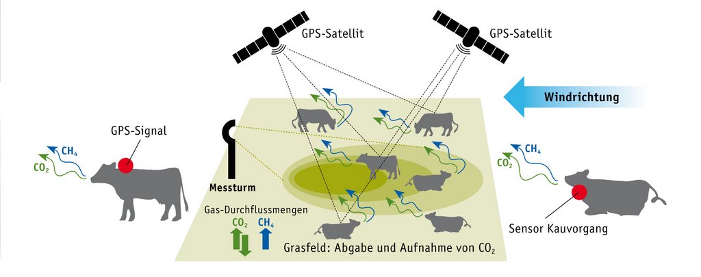 les flux de méthane et de CO2 produits par les vaches et l’herbage sont constamment mesurés et évalués.