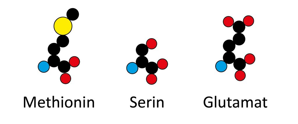 Hier steht Schwarz für Kohlenstoff, Rot für Sauerstoff, Blau für Stickstoff, Gelb für Schwefel. Wasserstoff ist nicht gezeigt.
