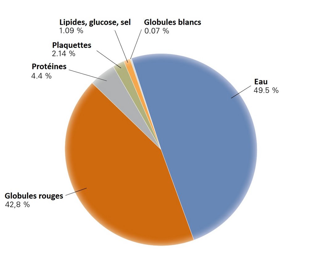 Les composants du sang