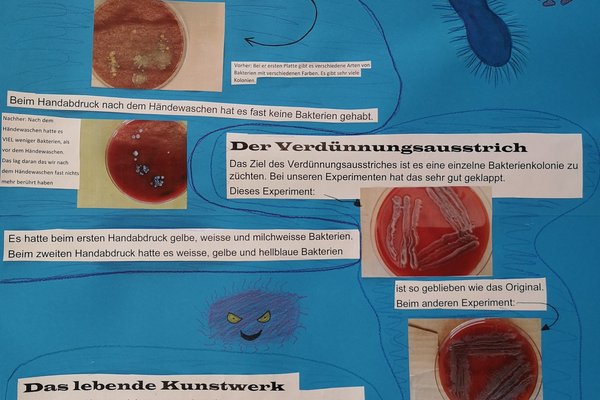 Poster Mikrobio-Wettbewerb 2022