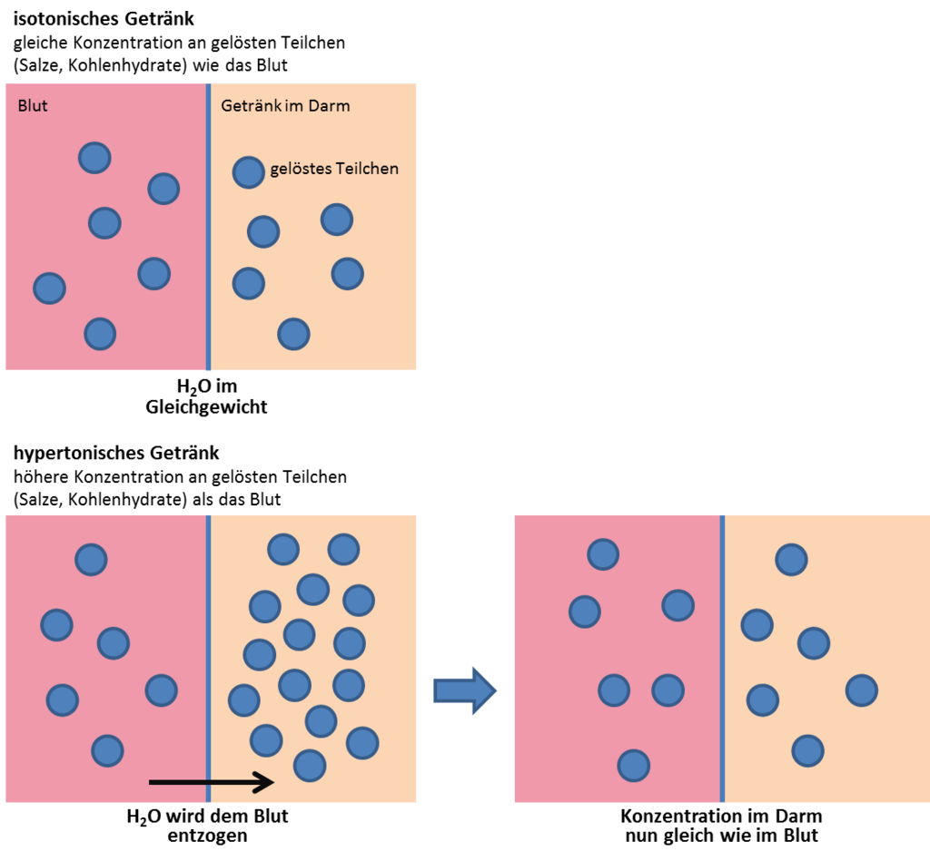 Grafische Erklärung der Begriffe isotonisch und hypertonisch