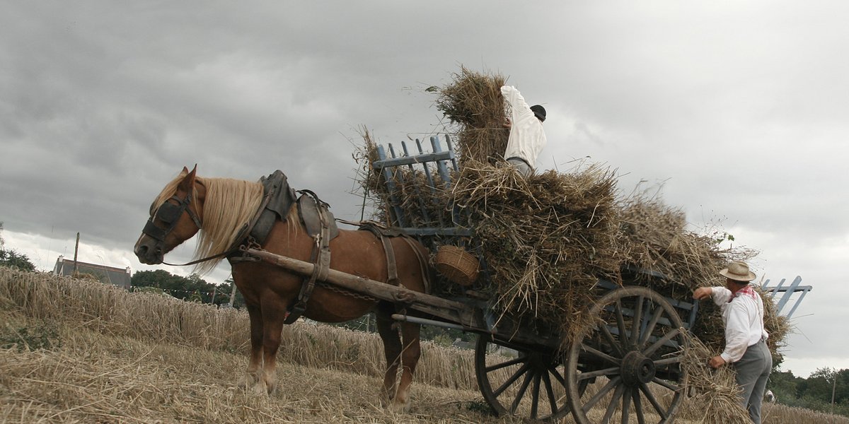 Landwirtschaft mit Pferd und Wagen