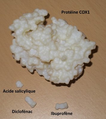 Protéine COX1 avec trois substances pharmaceutiques