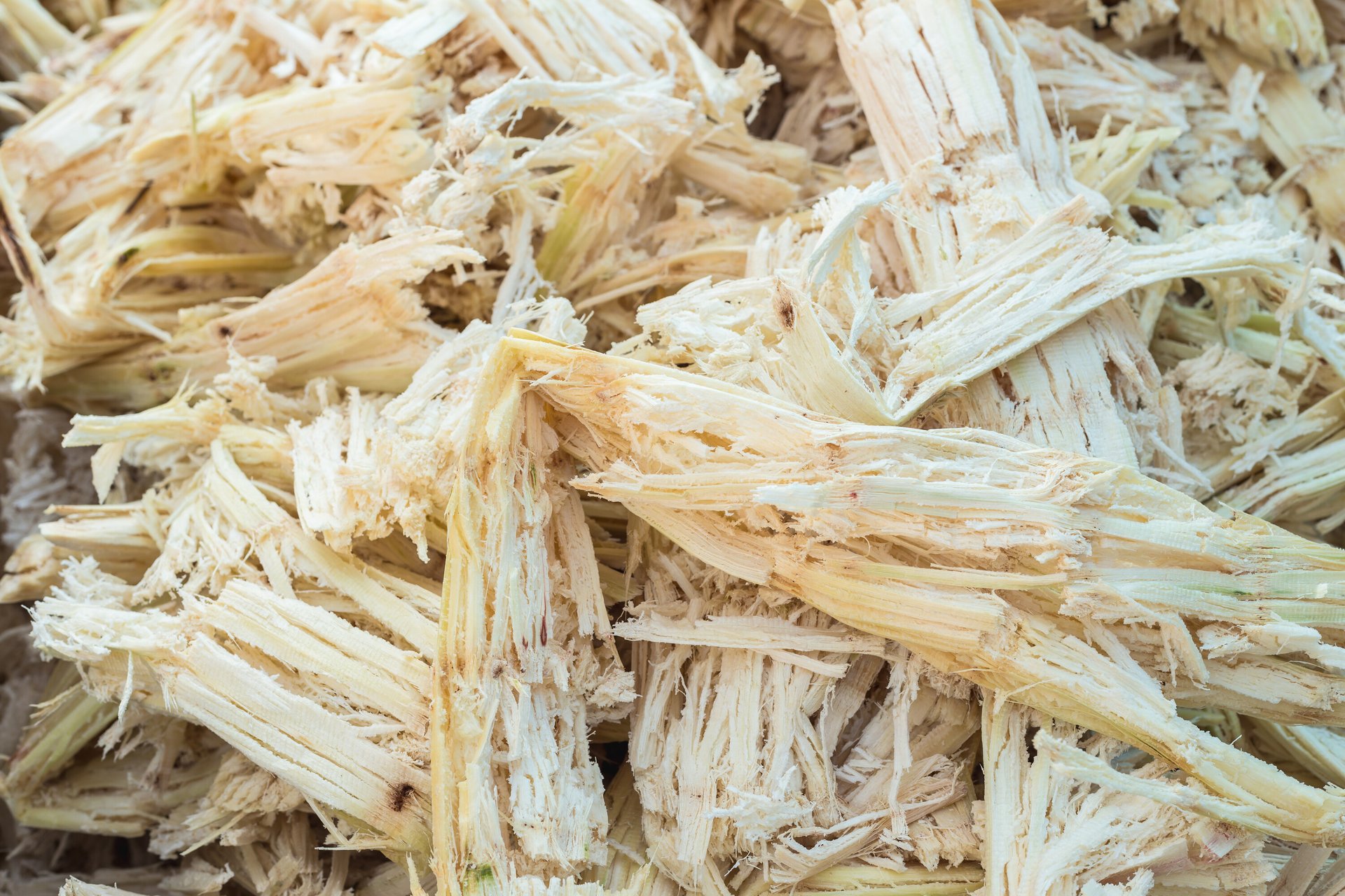 Fibre de canne à sucre