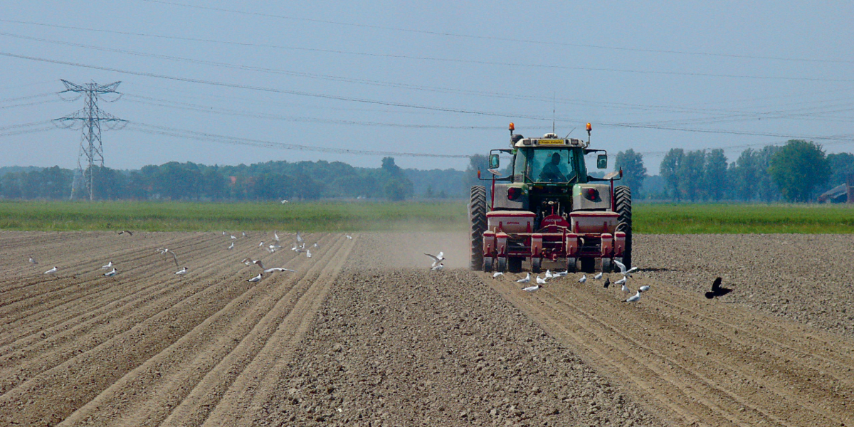 Rouler toujours dans les mêmes traces grâce au GPS permet de réduire la compression des sols par les machines agricoles.