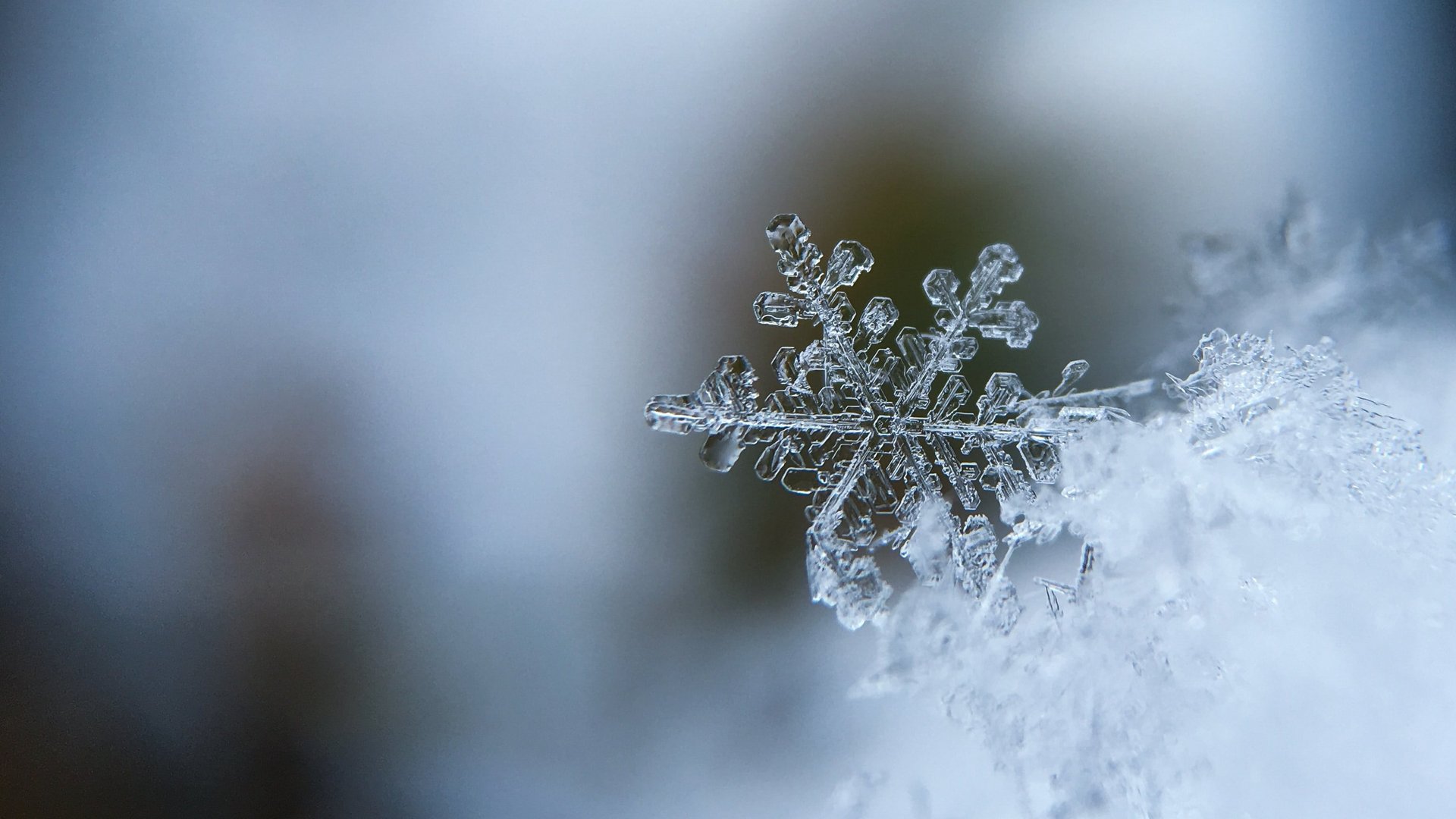 Schneeflocke, Makroaufnahme