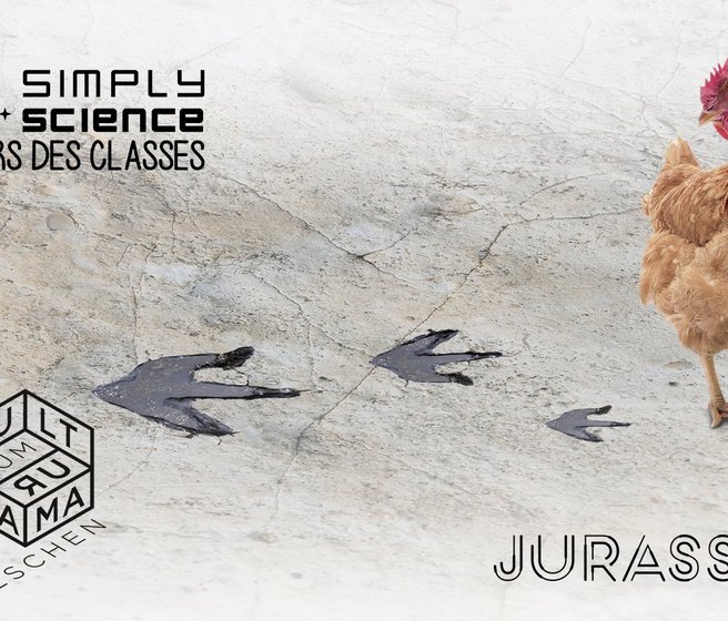 Une poule regarde une empreinte de dinosaure