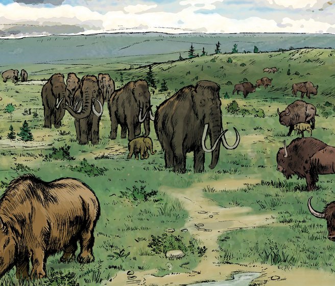 Reconstitution d'un paysage jurassien d'il y a 35'000 ans, avec des mammouths et d'autres espèces de mammifères vivant à cette époque