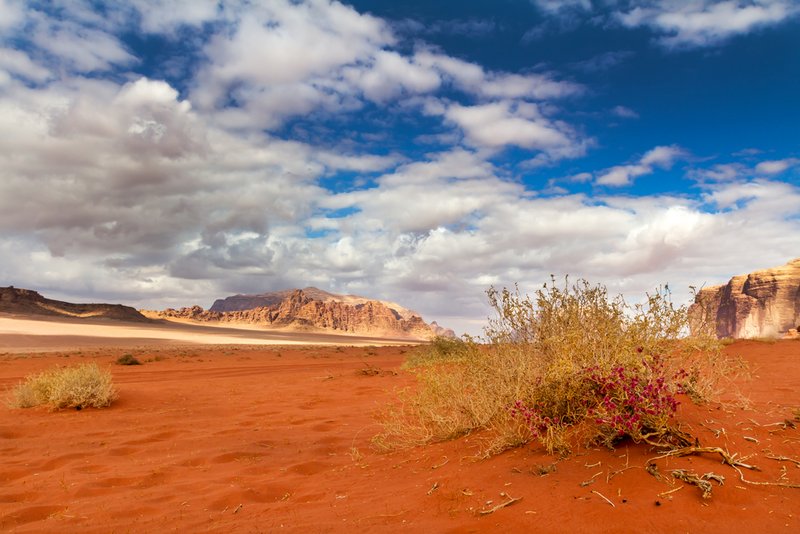 Das Wadi Rum in Jordanien ist geprägt von rötlichem Sandstein und rotem Sand