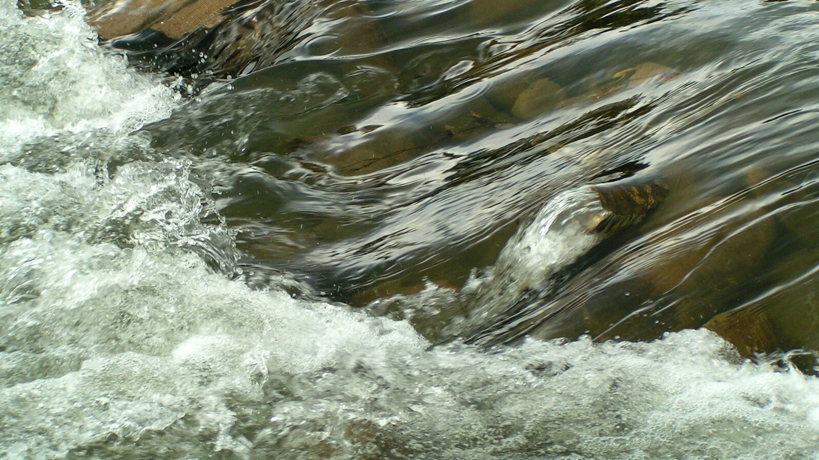 Primo piano di un fiume