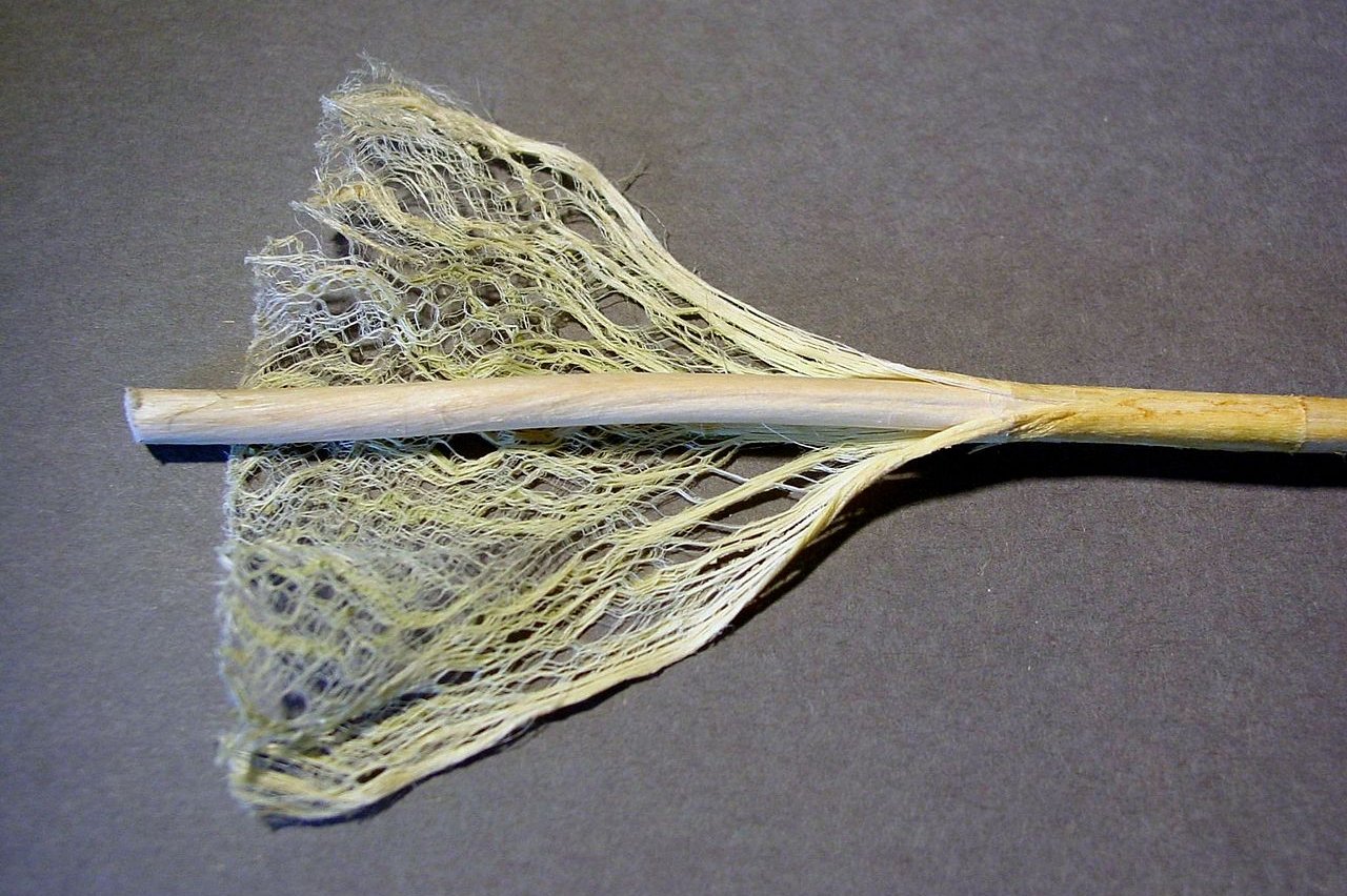 Hanfstängel Hanfstängel mit abgeschälter Faserschicht
