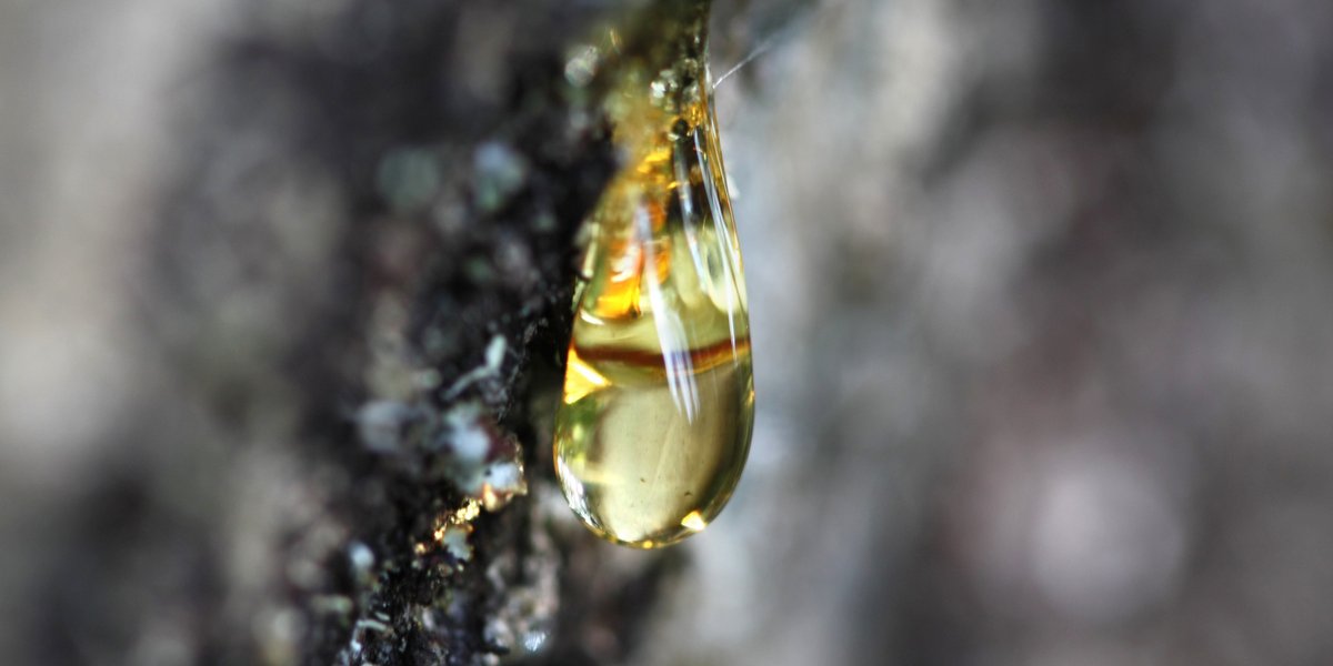 Goutte de résine