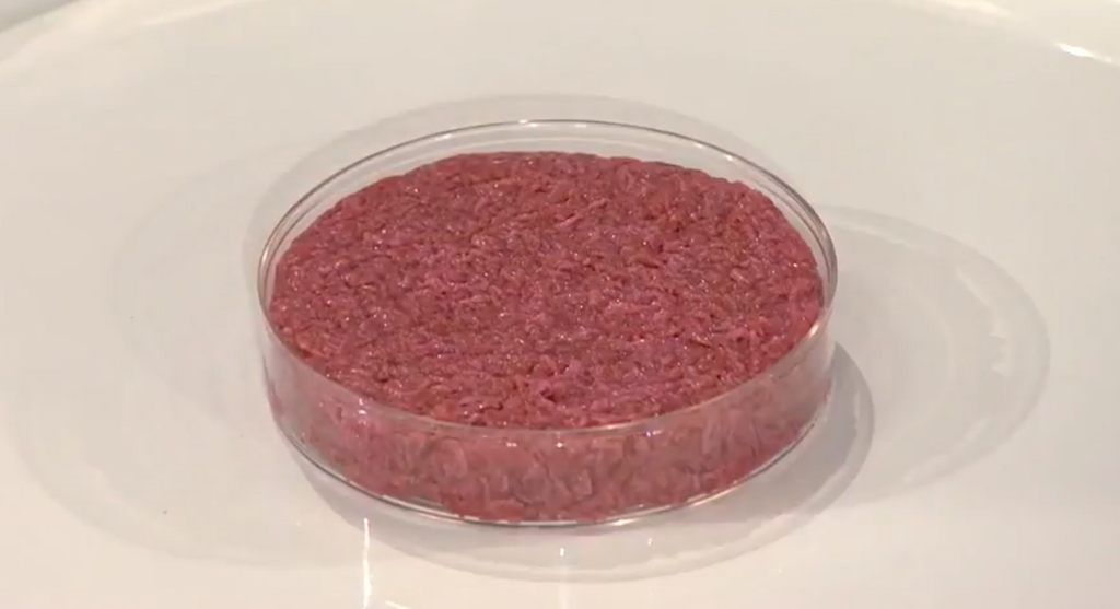 Steak de viande in vitro