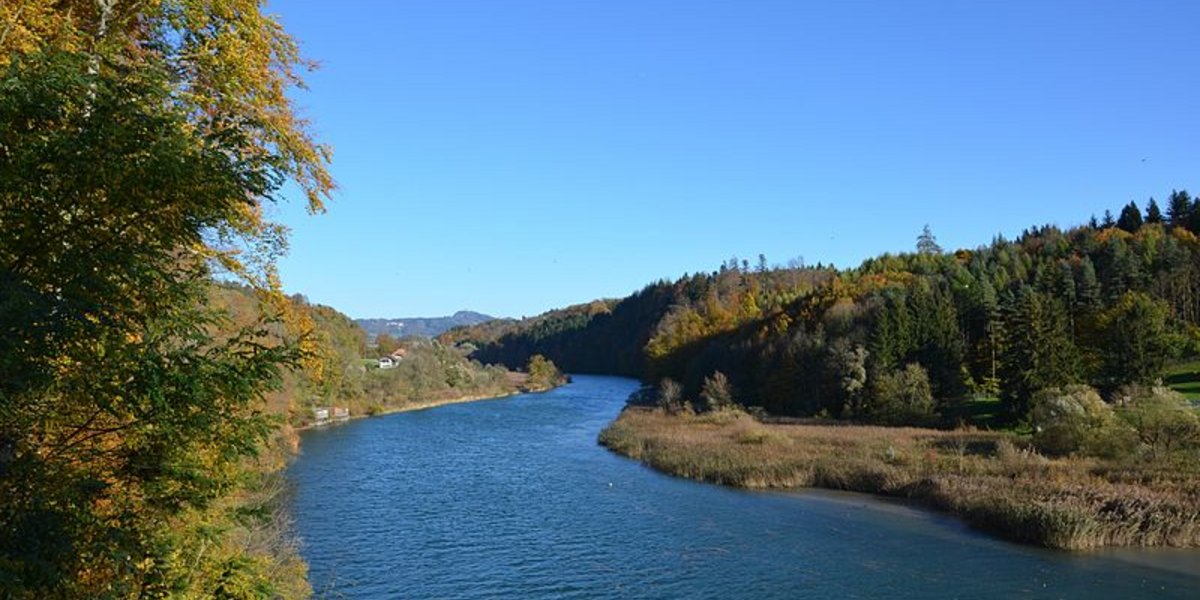 Die Aare bei Unterdettigen