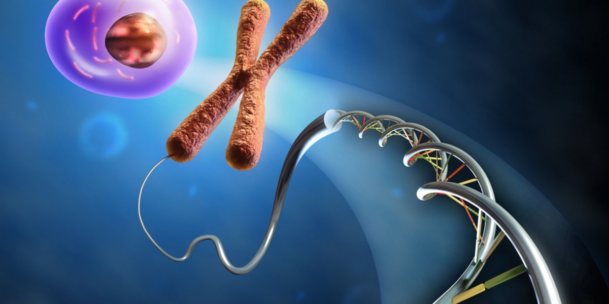 Epigenetische Veränderungen finden auf Ebene der DNA und des Chromatins statt.