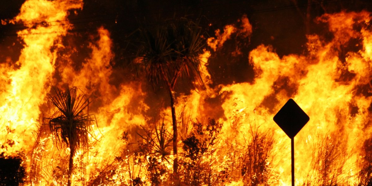 Buschfeuer bedrohen immer wieder menschliche Siedlungen