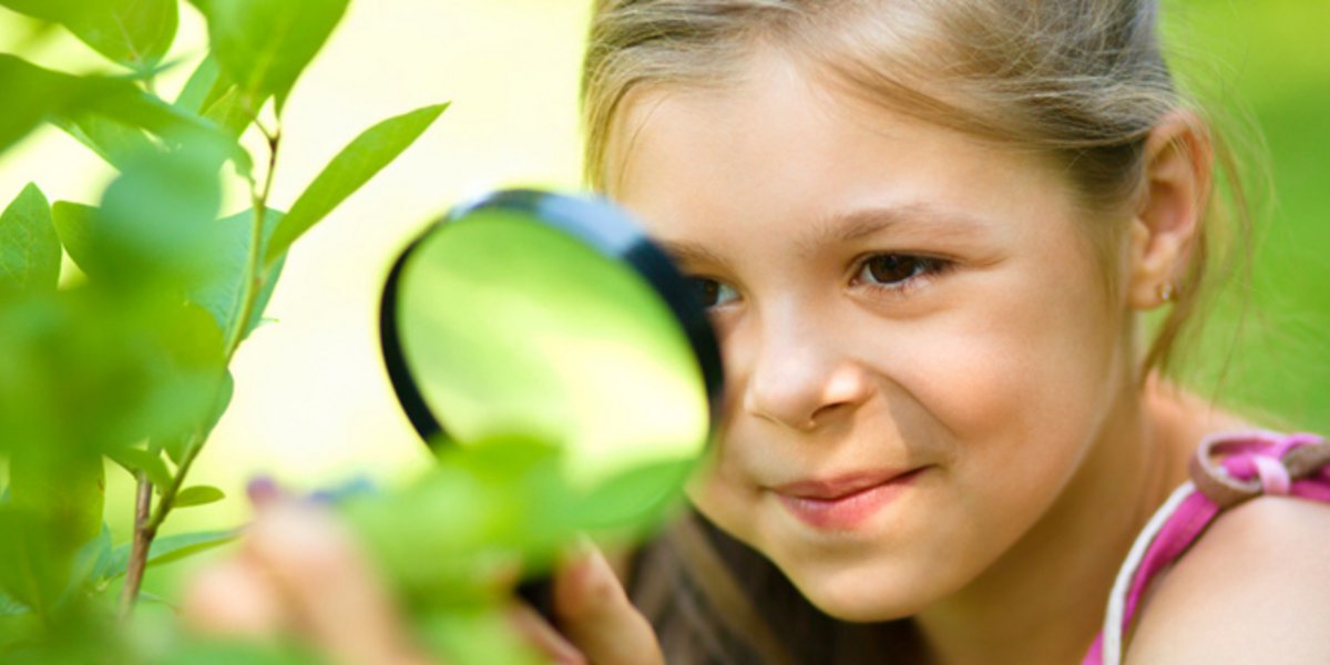 Une petite fille découvre la nature