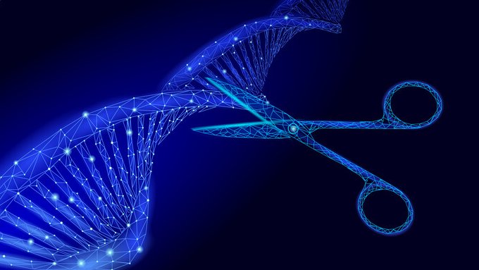 Une paire de ciseau coupe l'ADN, image symbolique de l'édition génomique