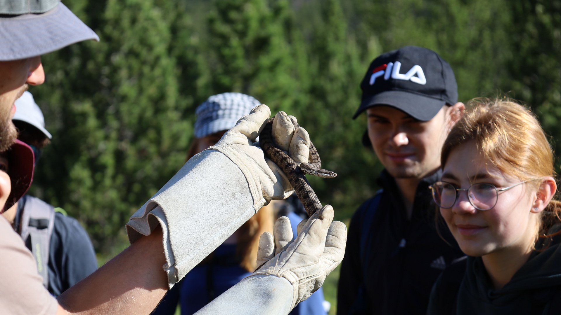 Un biologiste montre un serpent à des jeunes participants au camp