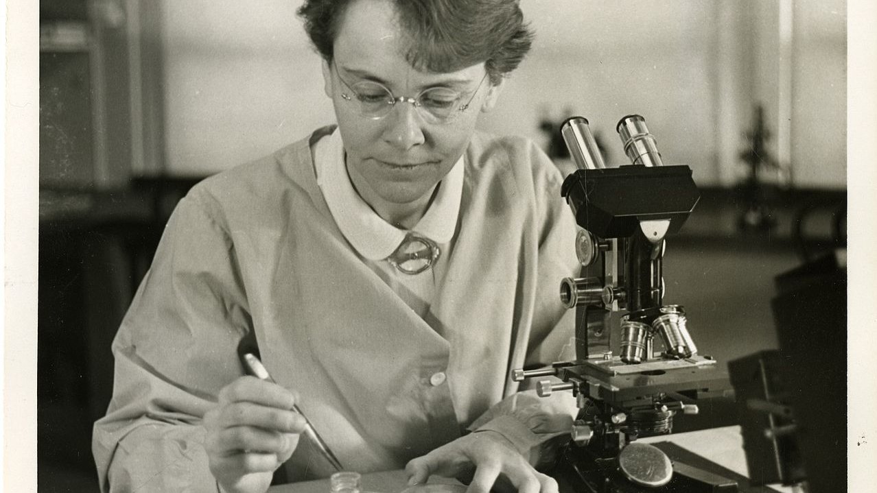 Schwarz-weiss-Foto einer Forscherin Mitte des 20. Jahrhunderts am Mikroskop
