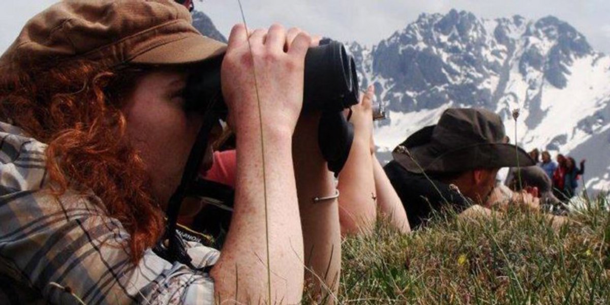 Des jeunes étudient la nature sur le terrain dans les Alpes