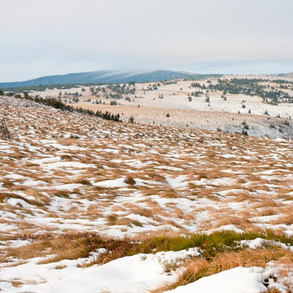 Der Boden unter dieser Tundra ist ganzjährig gefroren