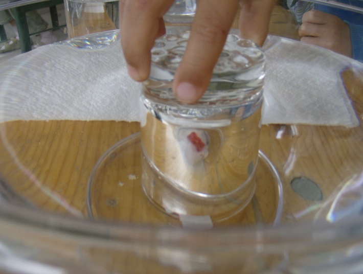 Remplis d'eau un verre vide grâce à du papier - Expériences pour enfants