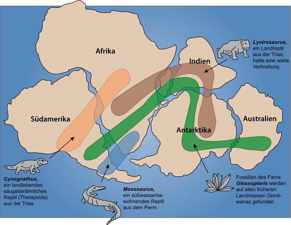 Als der Superkontinent Gondwana auseinanderbrach, wurden auch die Tiere getrennt, die darauf lebten