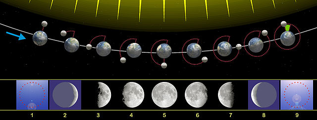 Auf dieser Zeichnung siehst du, wie sich die kleine Mondkugel im Verlauf eines Monats um die Erdkugel bewegt.