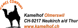 Kamelritt im Thurgau