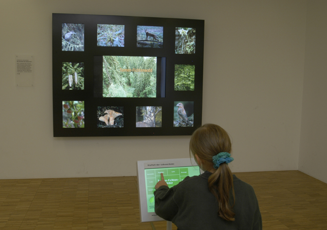 Vielfalt der Lebensräume - ein Schaubild im Naturama