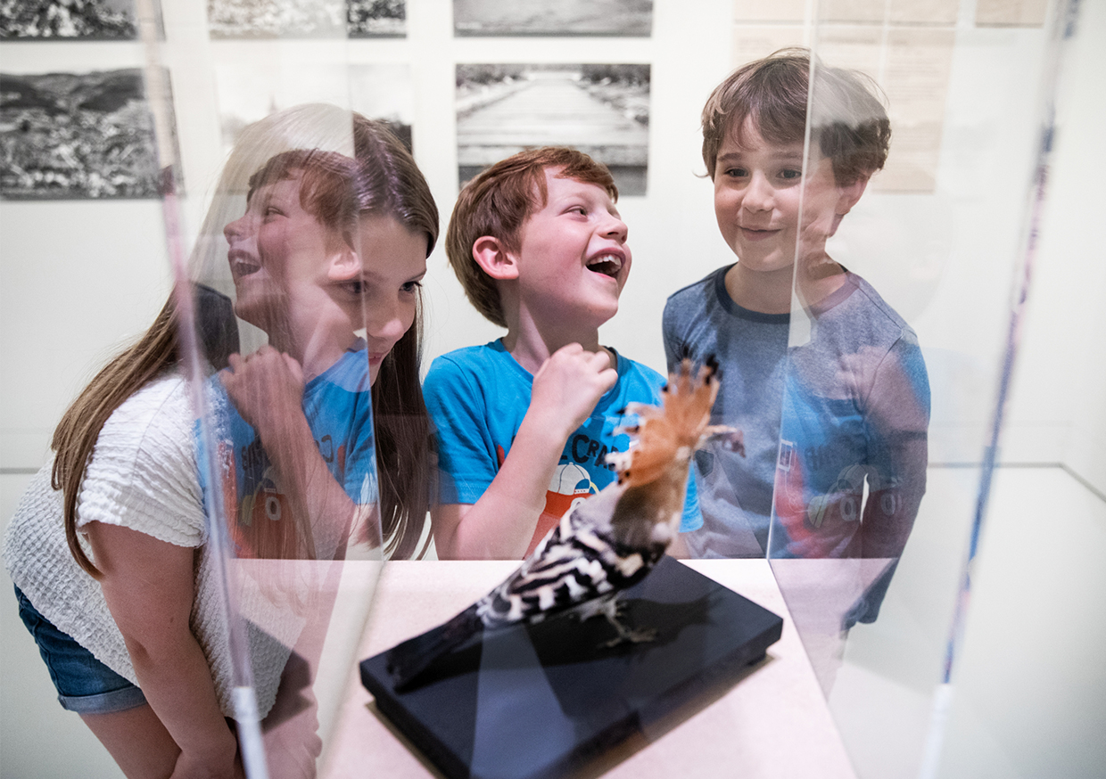 Drei Kinder vor einem Ausstellungsobjekt