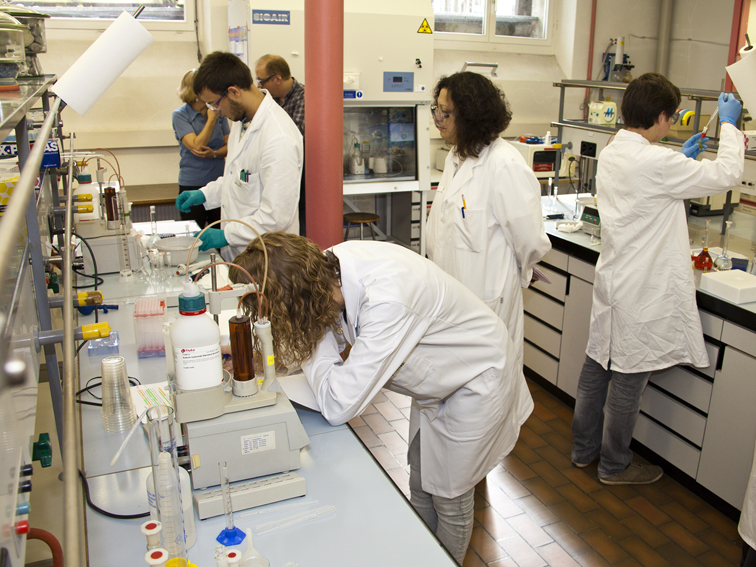 Jeunes hommes et femmes au travail dans leur laboratoire pendant les SwissSkills 2014