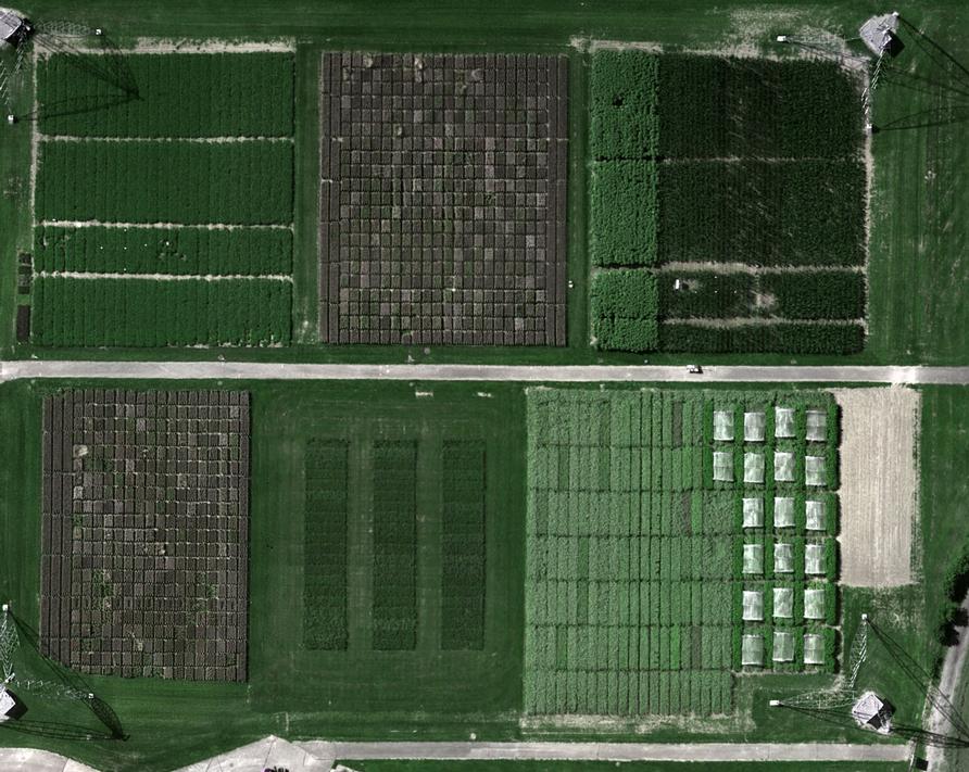 Luftaufnahme eines Feldes mit zahlreichen unterschiedlich bepflanzten Parzellen