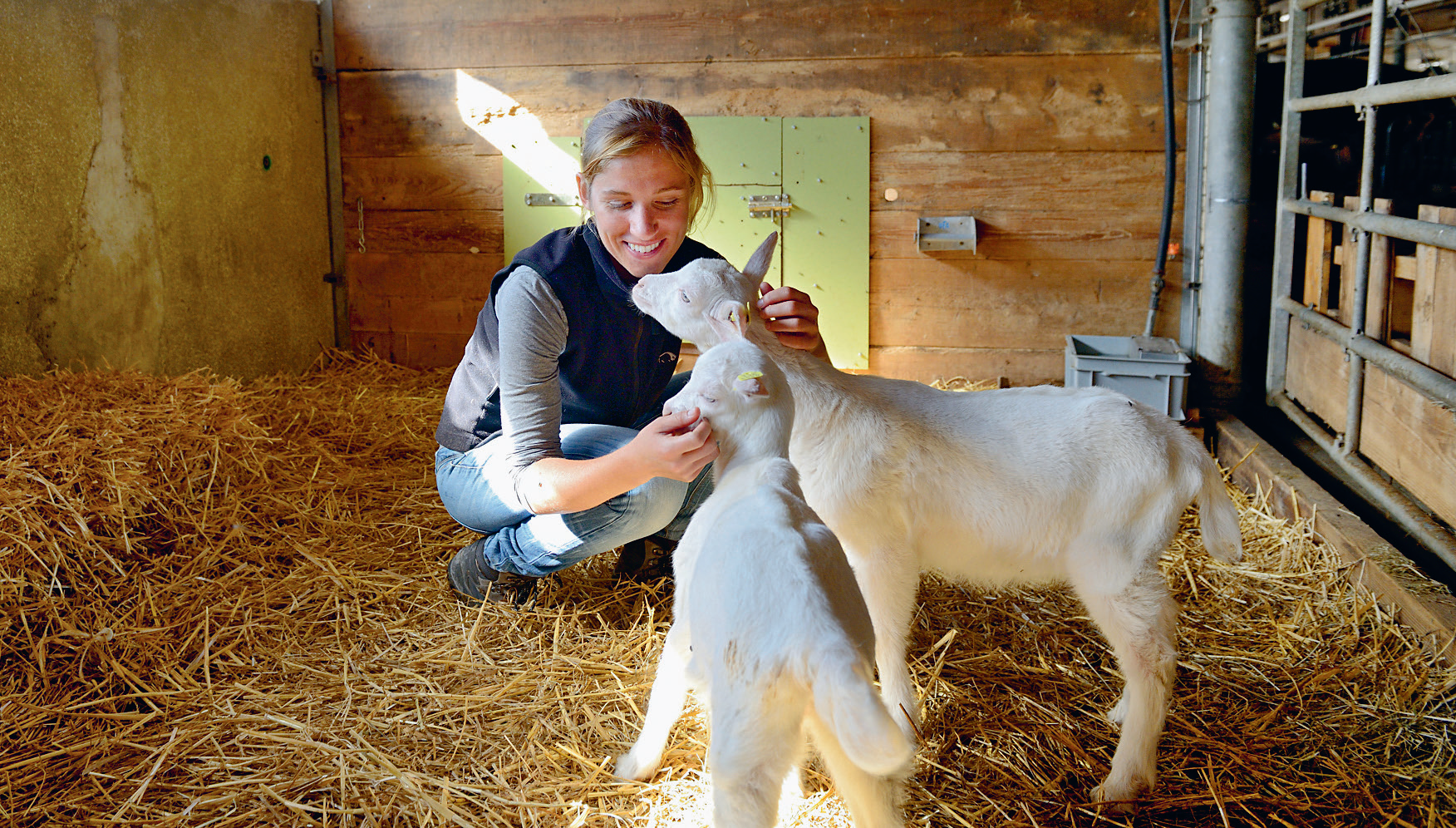 Im Ziegenstall &#40;Bild ©SATW / Franz Meier&#41;