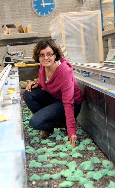 Mit einem 13 Meter langen Modell untersucht Simona Tamagni, wie Flüsse ökologisch stabilisiert werden können