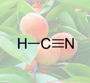 Les noyaux d'abricots contiennent de l'acide cyanhydrique.