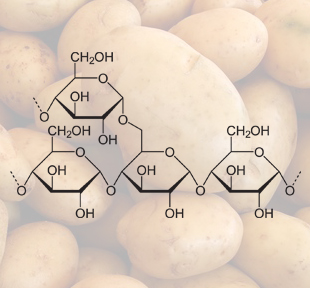 Kartoffeln enthalten Stärke