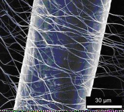 Nanofasern im Vergleich zu einem menschlichen Haar