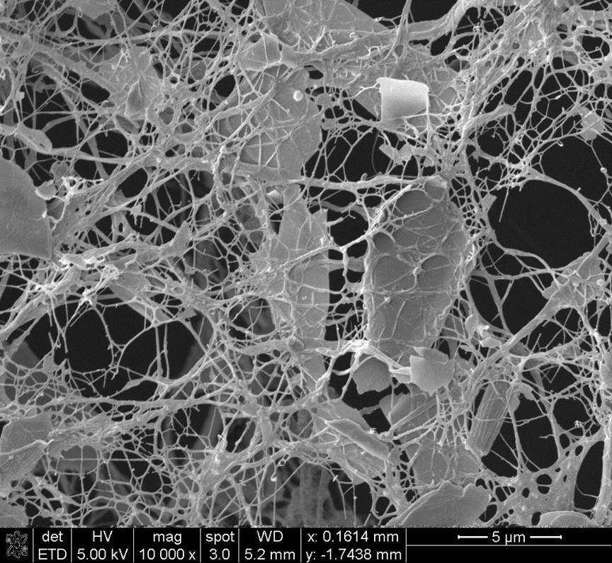 Ce réseau de fibrilles cellulosiques et d'argile permet de garder les aliments au frais.