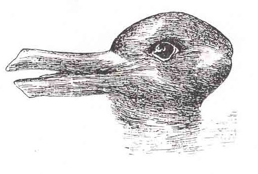 optische Täuschung Ente-Hase