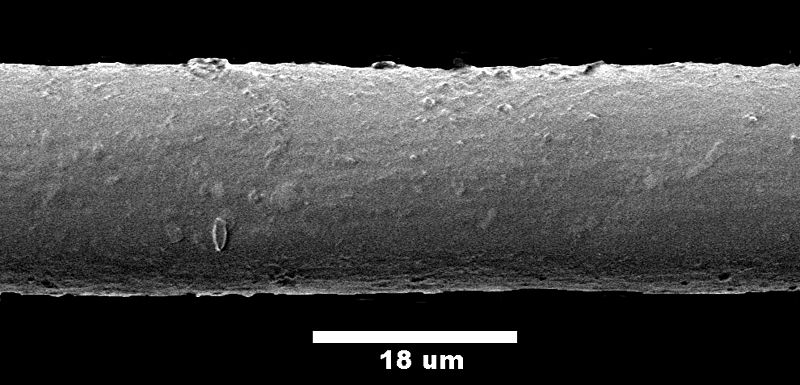 Polyesterfaser unter dem Elektronenmikroskop