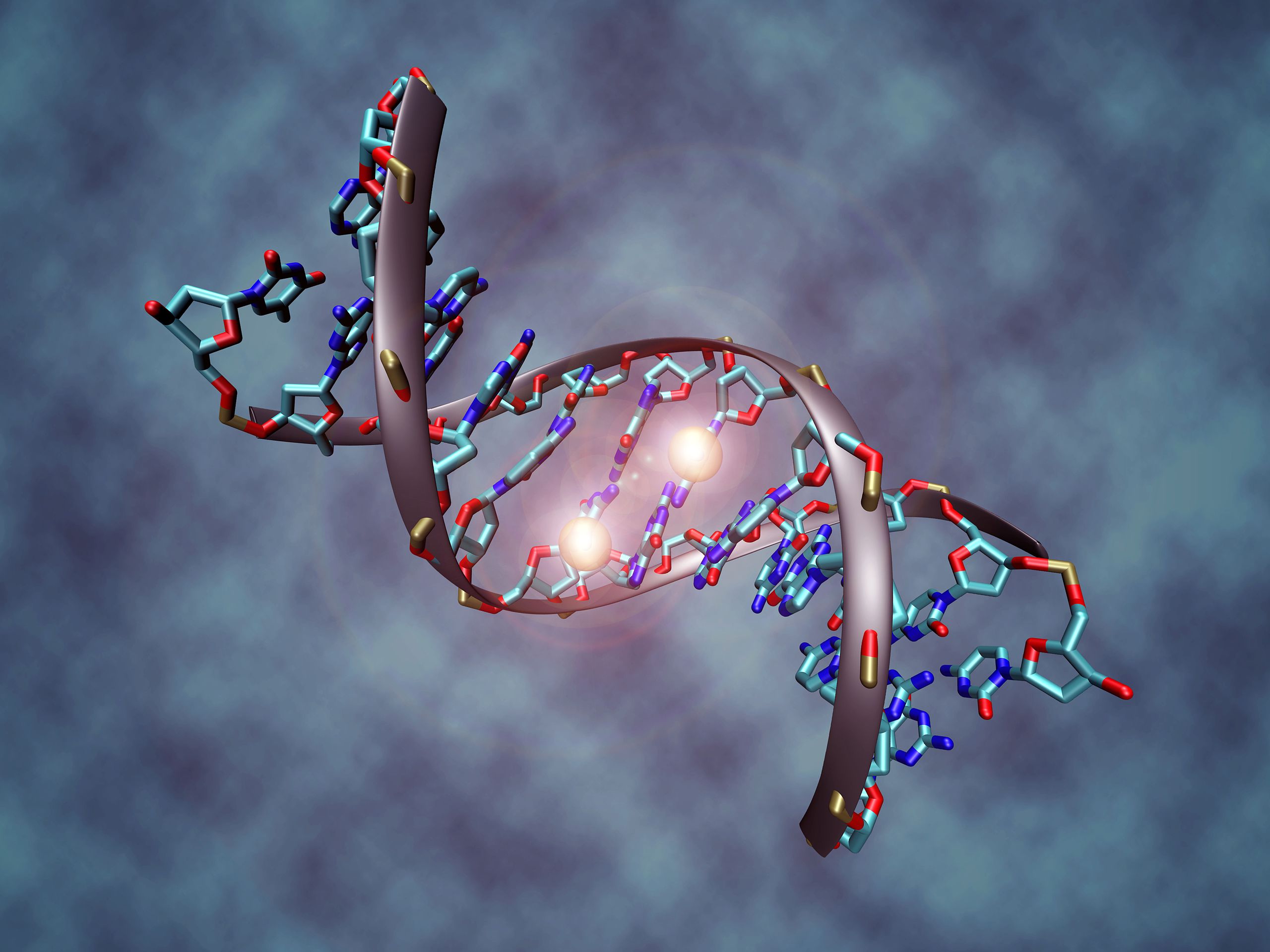 Computergeneriertes Bild eines DNA-Stücks mit Methylgruppen