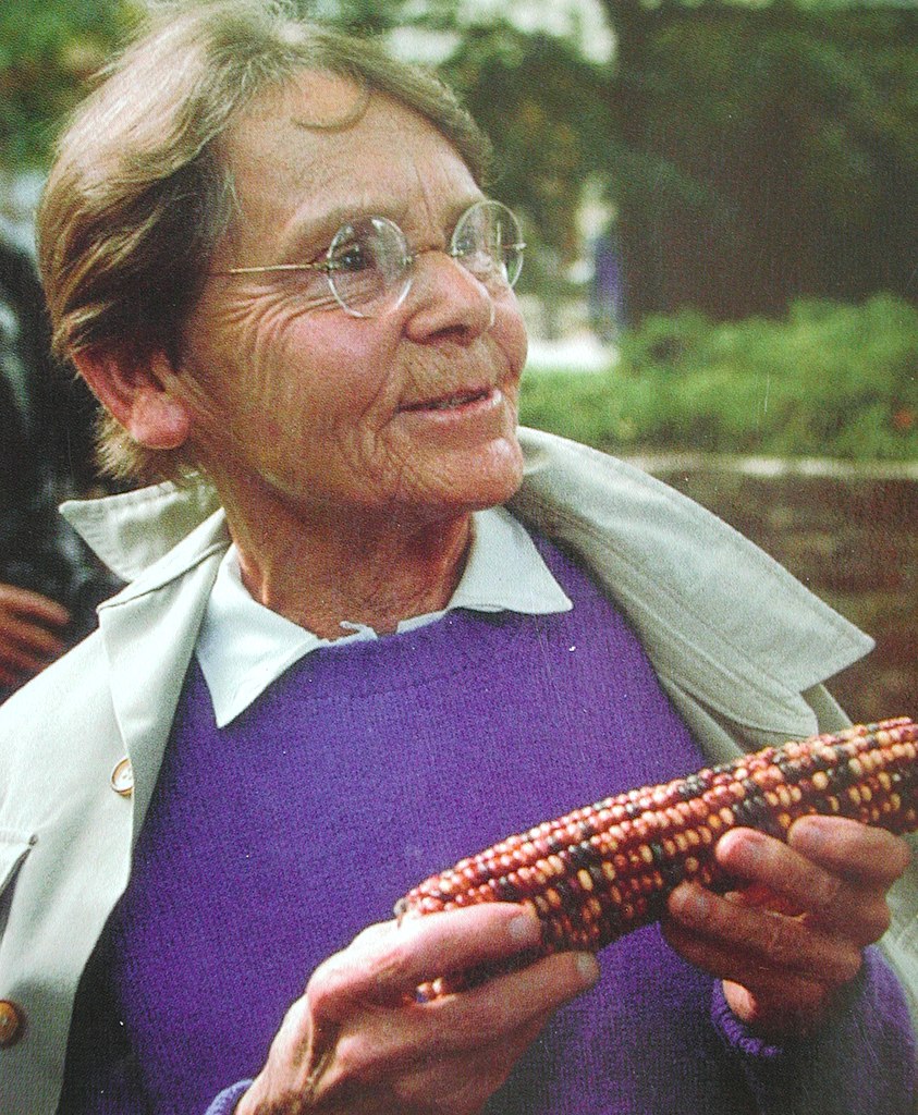 Barbara McClintock als ältere Dame mit einem Maiskolben in der Hand