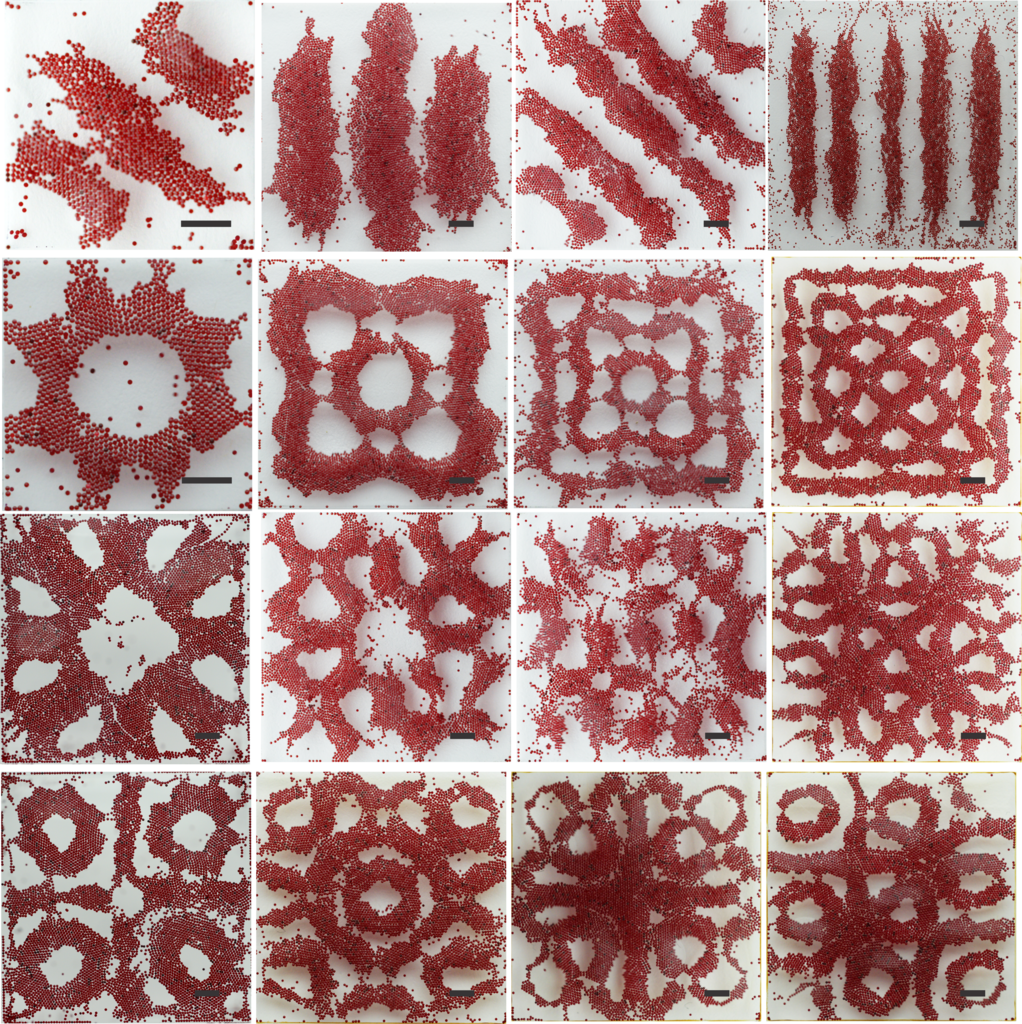 Collage von in verschiedenen Mustern angeordneten roten Mikroteilchen