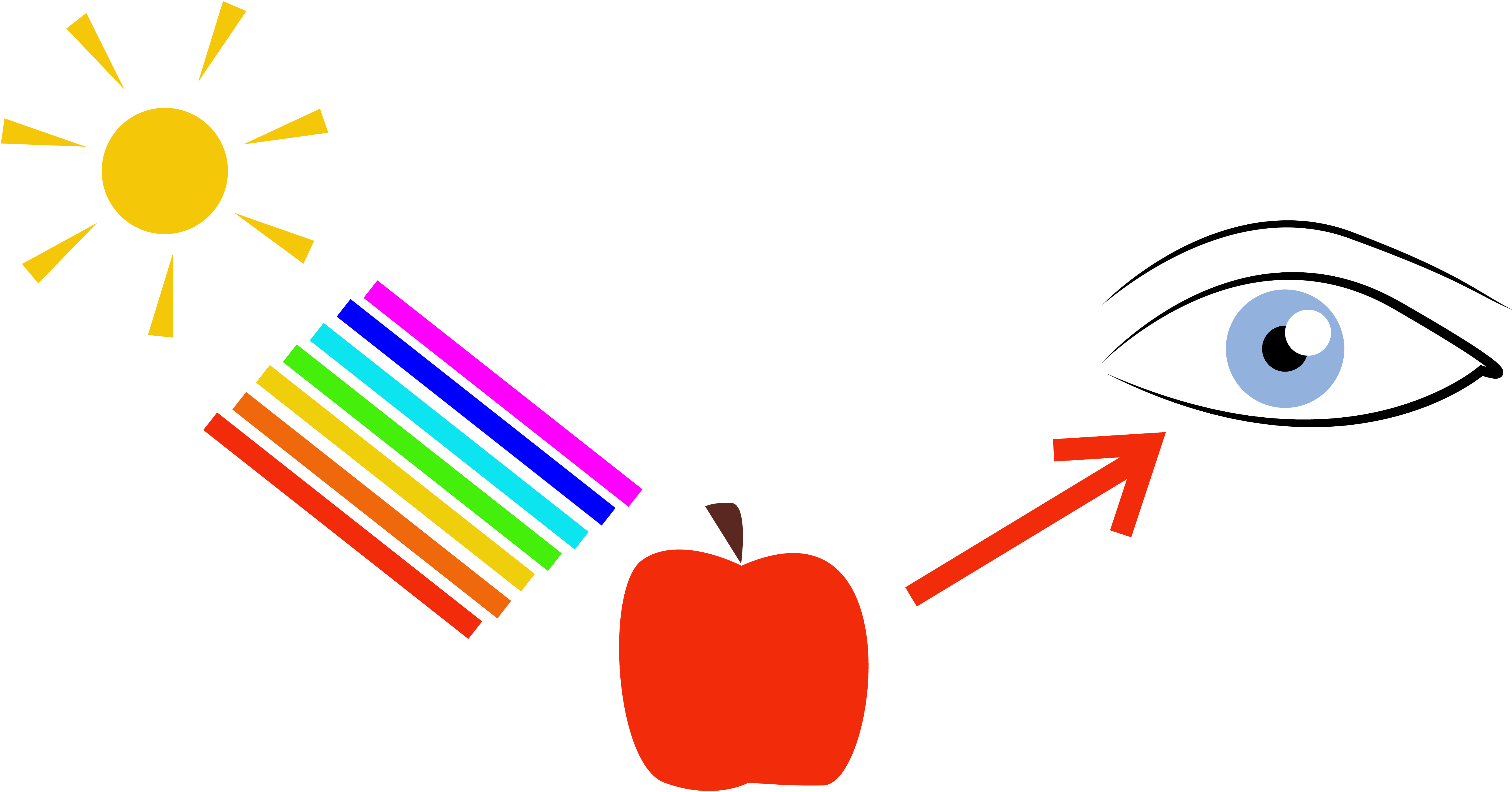 Illustration: Sonnenlicht in allen Regenbogenfarben trifft auf Apfel, roter Lichtstrahl wird reflektiert und trifft auf menschliches Auge