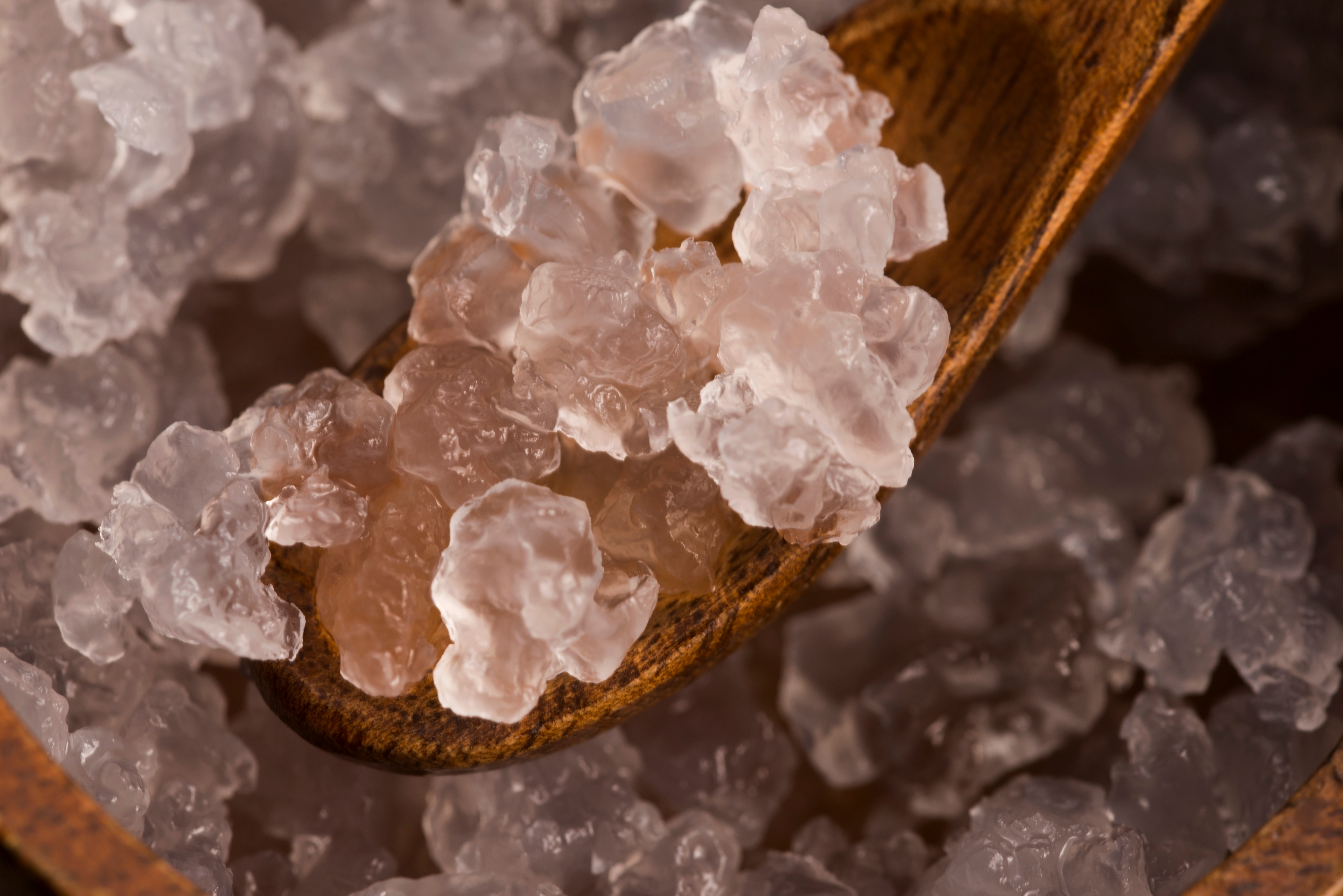 Wasserkefir