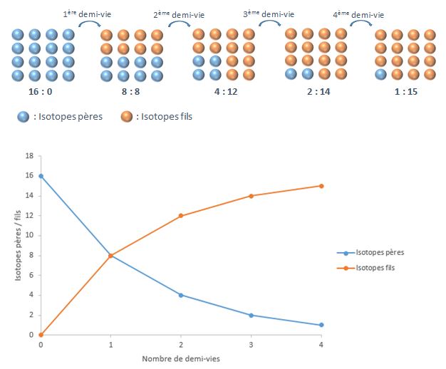 Illustration du concept de demi-vie d'un isotope radioactif